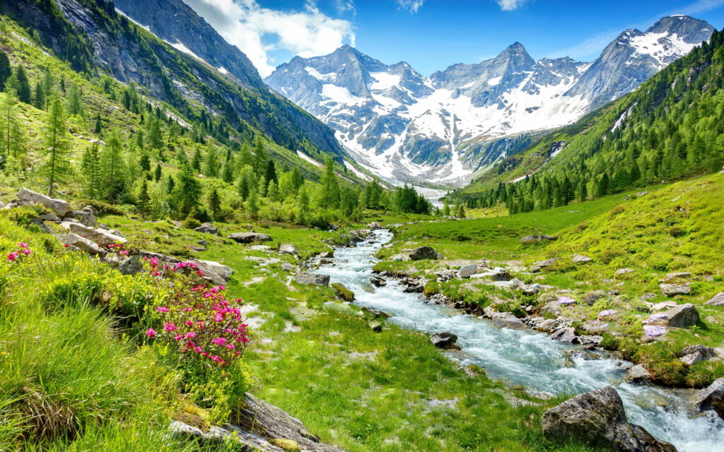 Springtime Splendor: Majestic Zillertal Valley Awash with Alpine Charm and Abundant Wildflowers - A Breathtaking 4K Wallpaper