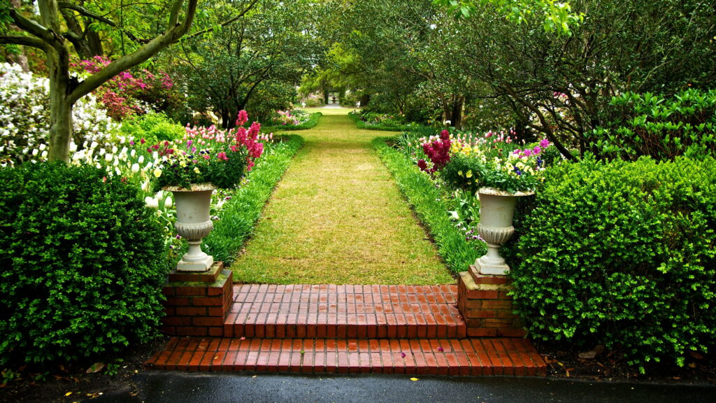 Springtime Splendor: Captivating Garden View as Wallpaper