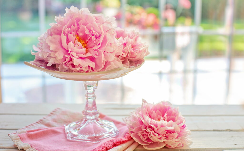 Springtime Elegance: Woodentable Showcase of Cute Pink Peonies in Ultra HD Wallpaper