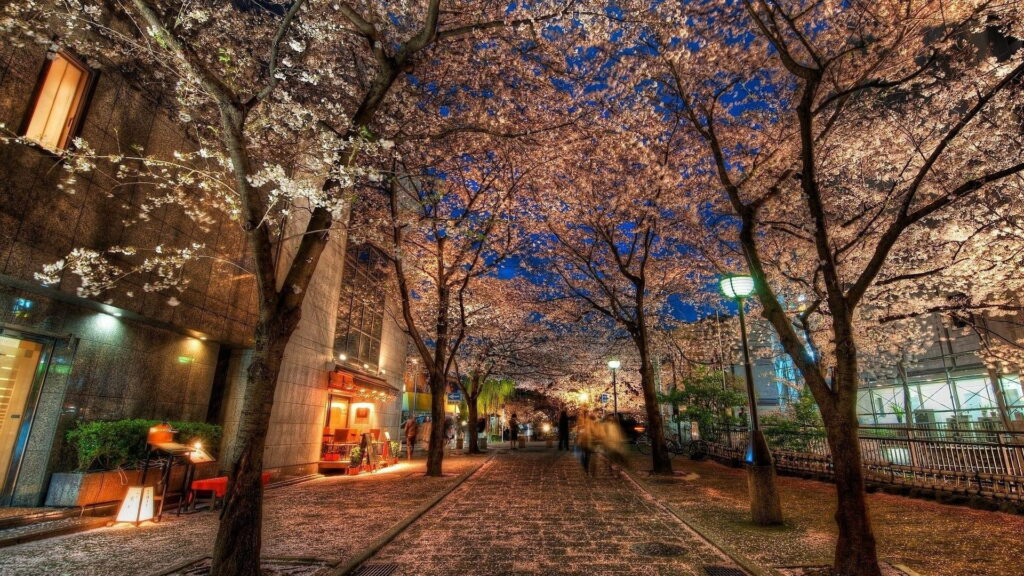 Glowing stone path under illuminated cherry blossoms in Kyoto spring night cityscape wallpaper