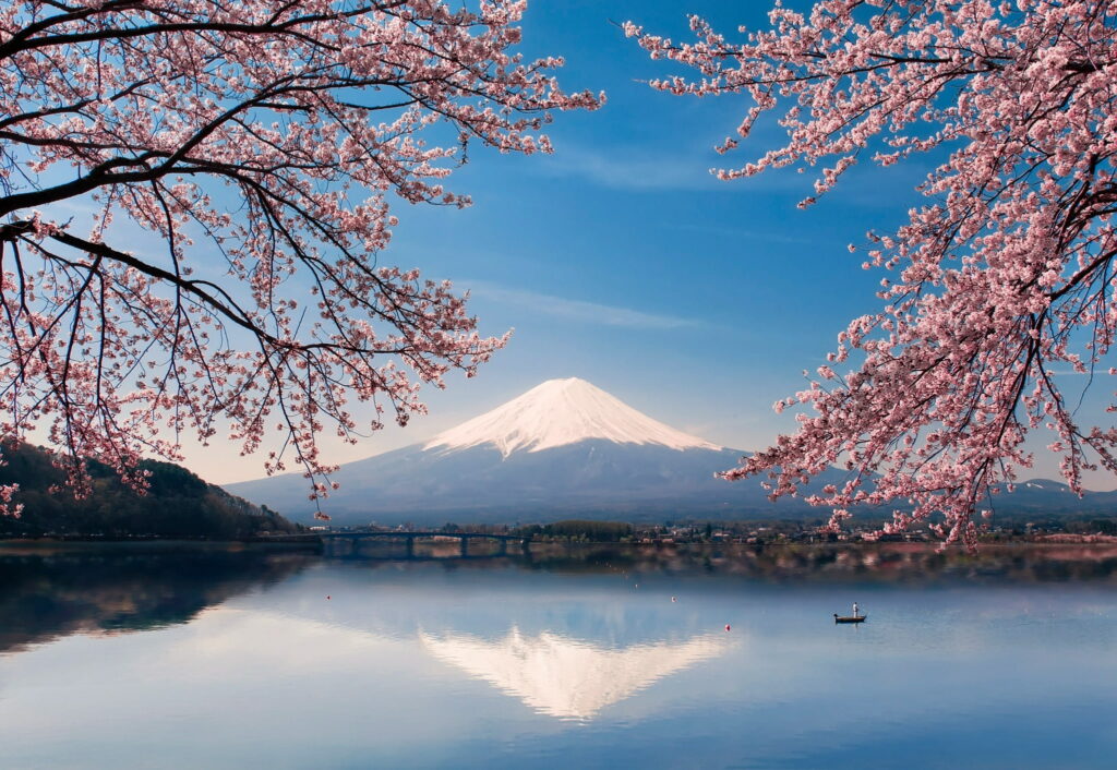 Sakura Serenity: A Stunning HD Wallpaper of Mt. Fuji amidst a Lake of Flowers and Boats in Springtime Japan