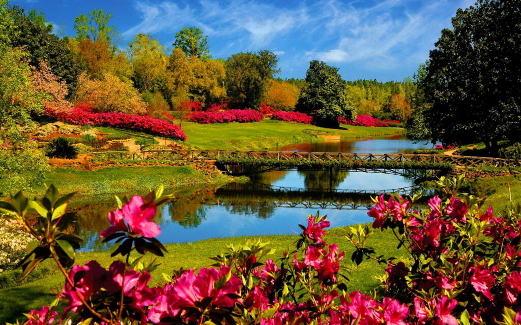 Serenity in Bloom: A Tranquil Spring Landscape for Your Desktop Wallpaper