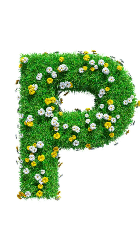 Springtime Wallpaper: Capital Letter P in Green Grass & Flowers