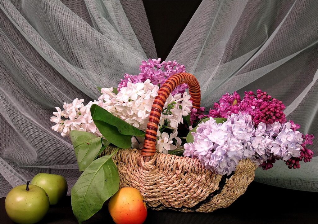 Springtime Wallpaper: Woven Basket with Lilac Flowers & Fresh Apples