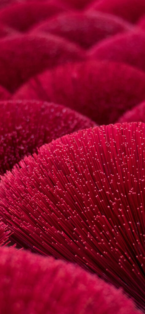 Spring Serenity: Vibrant Red Stress Balls on iPhone 11 Pro Wallpaper