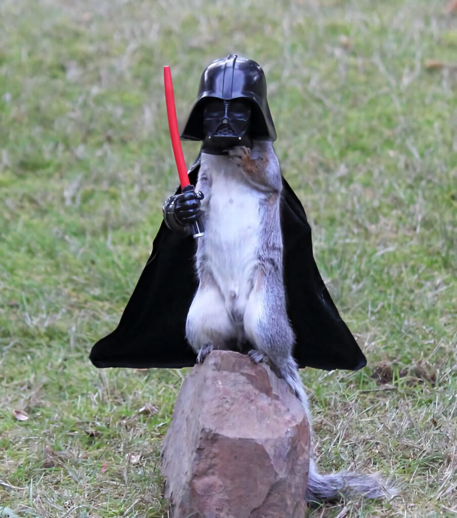 Playful Squirrel Dressed as Darth Vader with Lightsaber Wallpaper