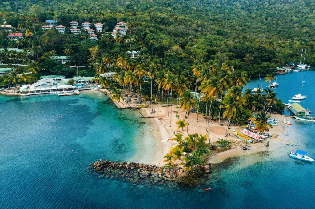 Aerial View of St. Lucia's Tropical Coast: Palm Trees & Blue Waters Wallpaper