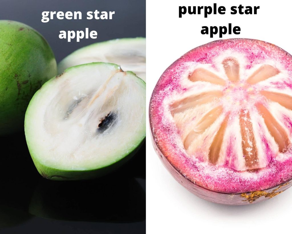 Split-screen wallpaper of green and purple Star Apples showcasing tropical fruit star-shaped pulp