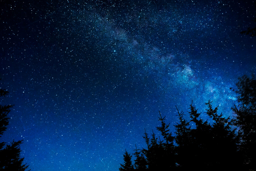 Serene starlit night sky with sparkling blue stars and dark tree silhouettes wallpaper background