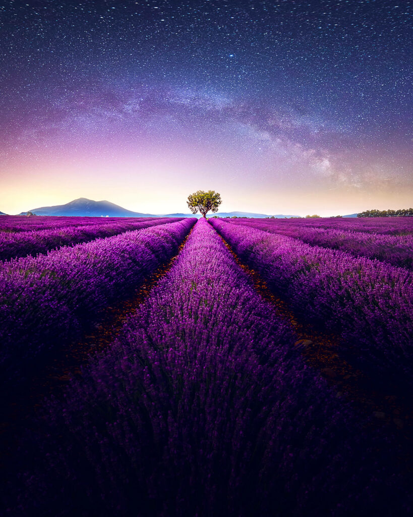 Starry Lavender Sky: Captivating iPhone Landscape Wallpaper