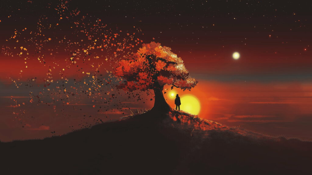 Starry Night among Trees: A Beautiful QHD Wallpaper