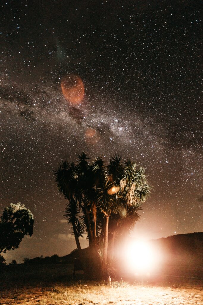Palm trees glowing under bright flash against starry night sky dramatic nature wallpaper background