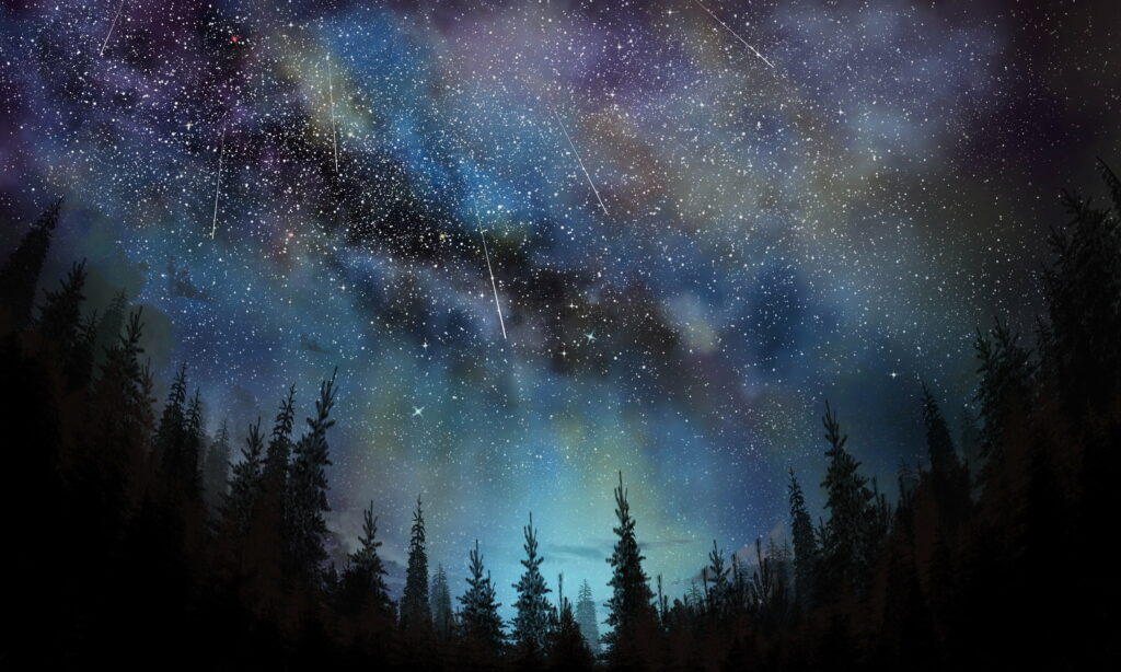 Starry Night Serenade: A Majestic Nighttime Symphony Amongst the Celestial Trees Wallpaper