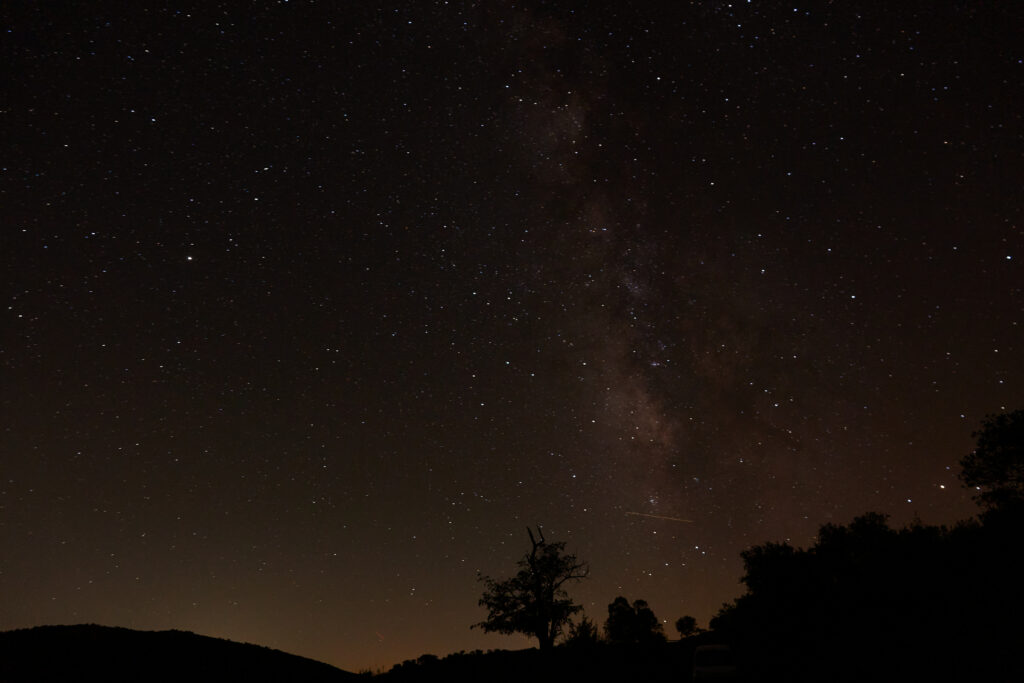 Starry night sky with Milky Way above dark trees tranquil wallpaper background for stargazers