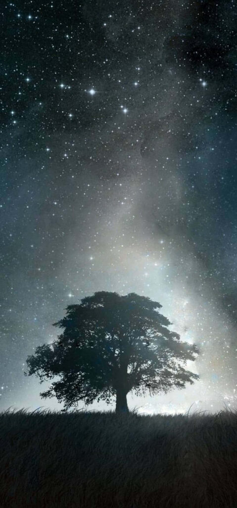 Starry Nightshade: A Celestial Space Wallpaper for iPhone XR