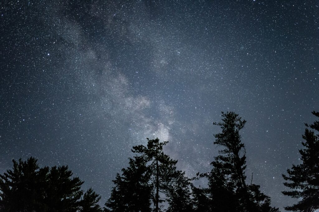 Starry night sky with Milky Way above dark forest silhouette serene natural wallpaper background
