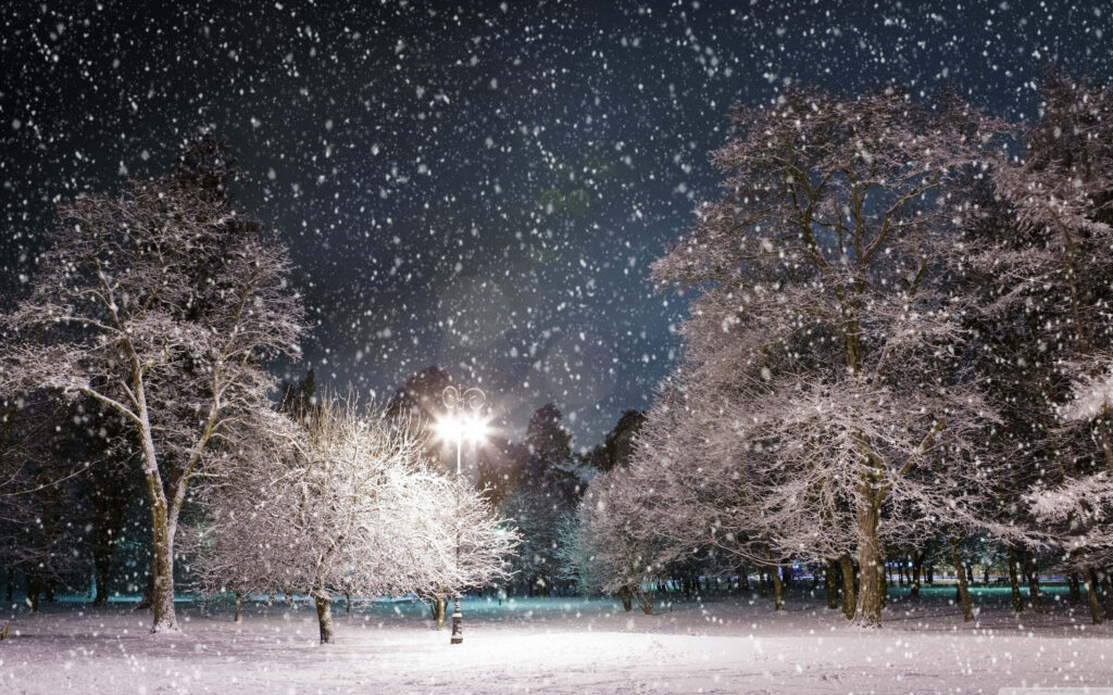 Winter's Night Magic: A Tranquil Journey Through Stars Wallpaper