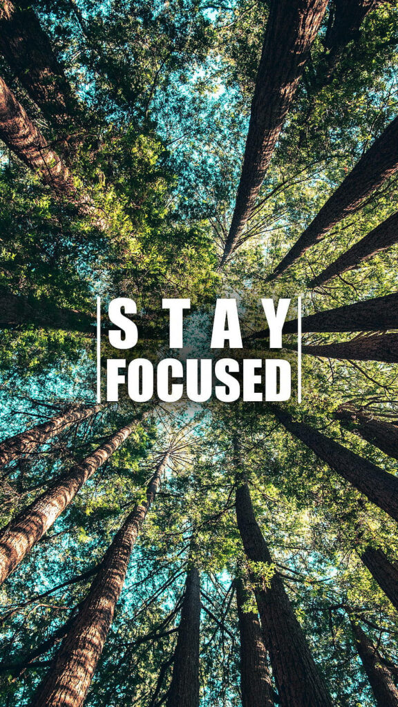 Stay Focused: Inspiring Nature Wallpaper with Towering Trees