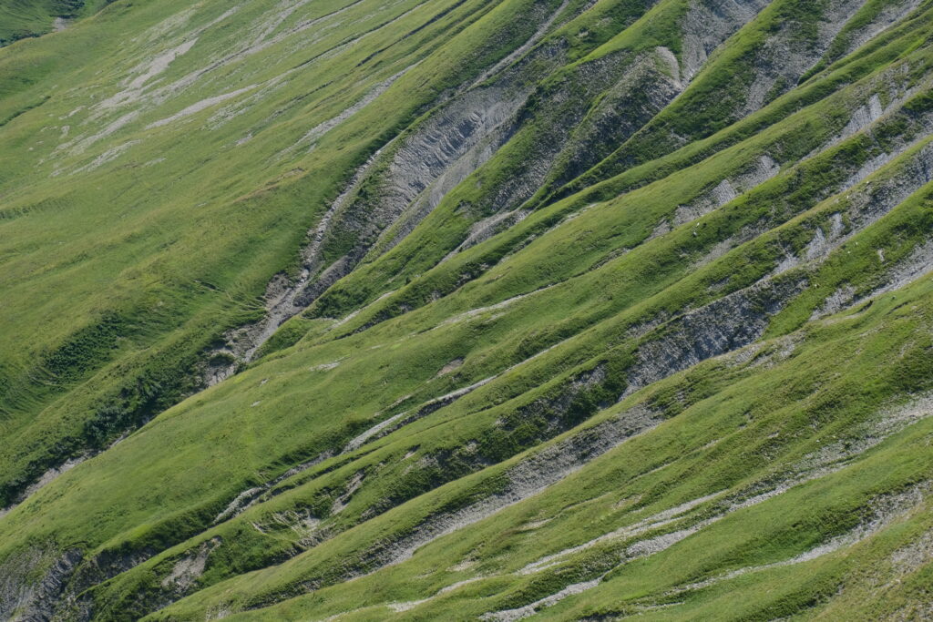 Steep grassy slope with natural ridges and earthy textures showcasing vivid green landscape Wallpaper
