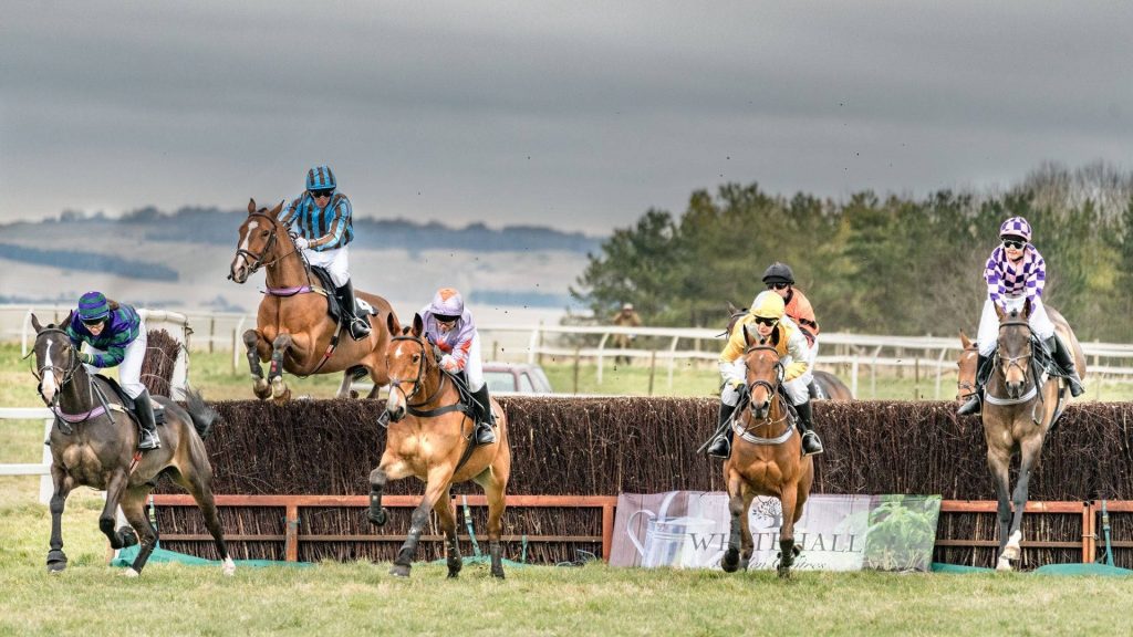 Professional jockeys in colorful silks jumping horses over hurdle at steeplechase race outdoors Wallpaper
