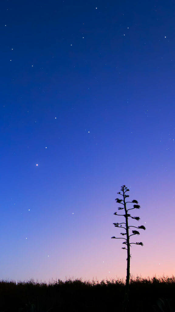 A Mesmerizing Purple Night Sky: A Gorgeous Original Iphone 6 Background Wallpaper