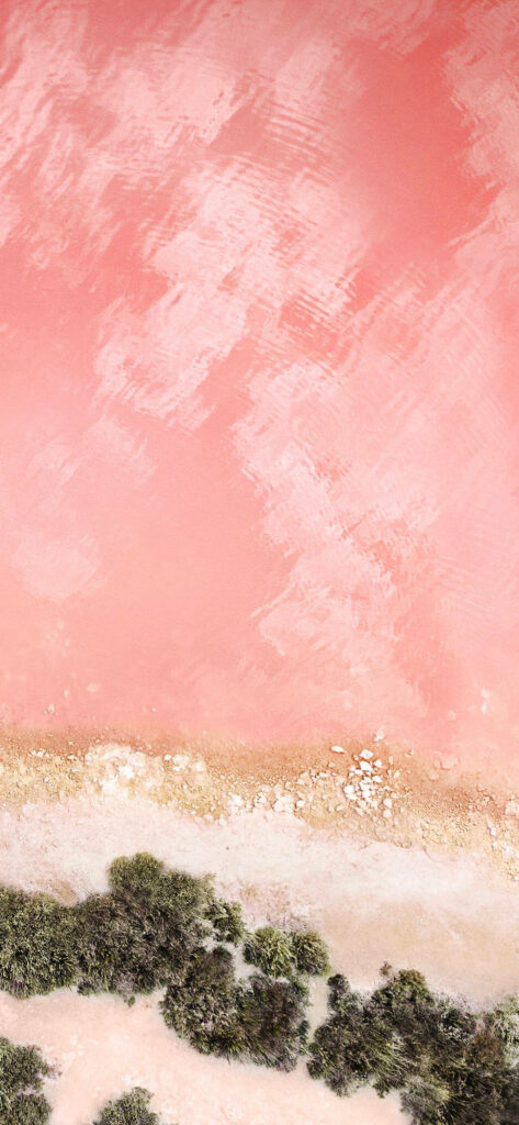 Aerial view of vibrant pink salt lake with textured shore and lush green vegetation landscape Wallpaper