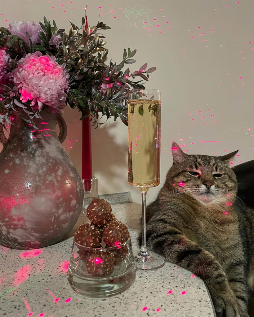 Charming Cat Stepan Posing with Flowers, Champagne, and Chocolates Wallpaper