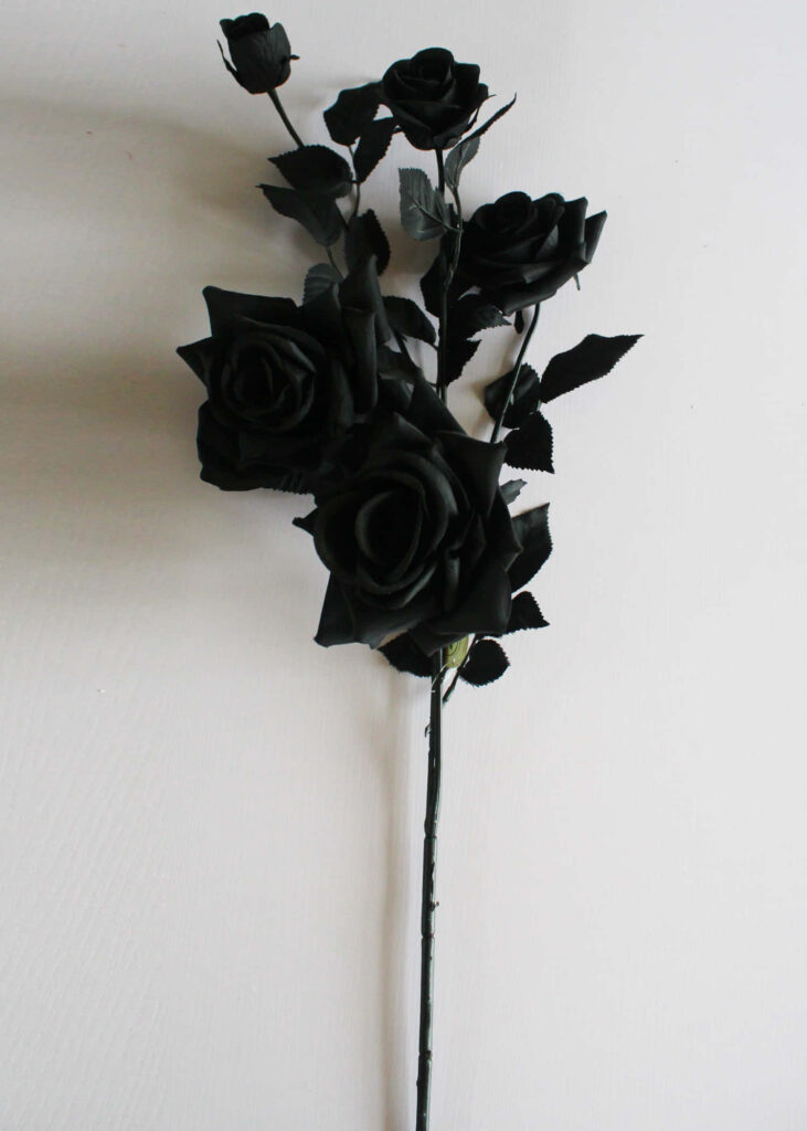 Black Roses Wallpaper: Bold Contrast on Neutral Background
