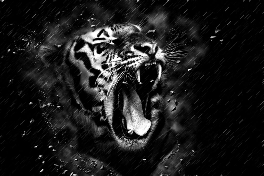 Fierce Black and White Tiger Wallpaper with Textured Background