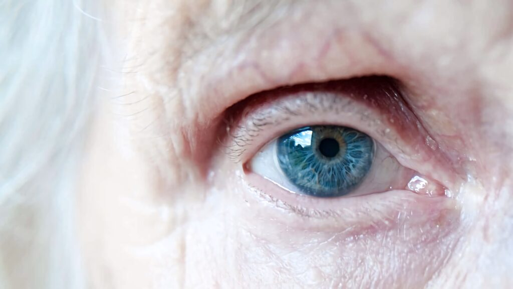 Close-up of a striking blue eye with detailed iris and mature skin texture in soft light Wallpaper