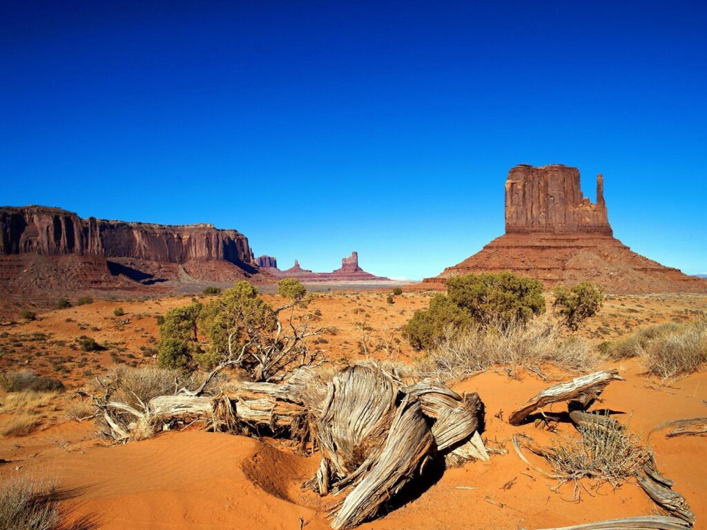 Desert landscape wallpaper with orange sand towering rock formations twisted roots and sparse bushes