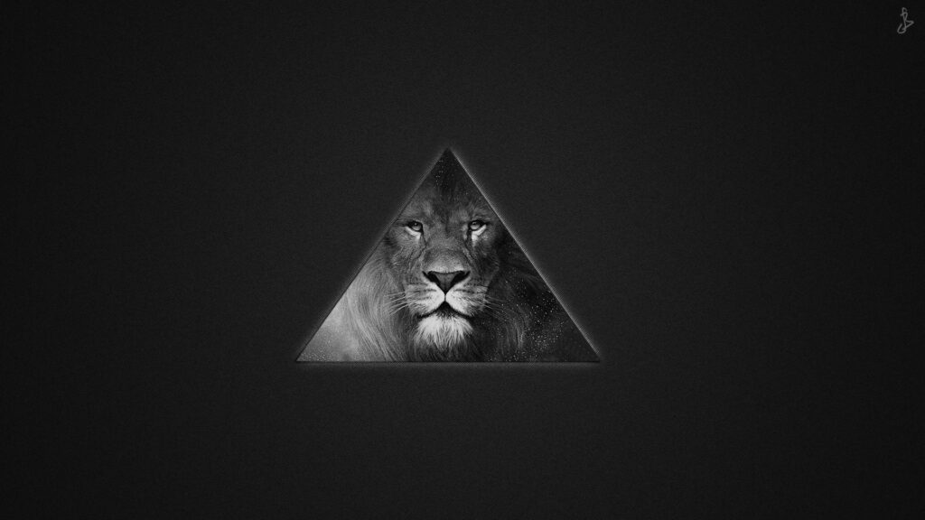 Striking Lion Wallpaper: Minimalist Design & Dark Textured Background