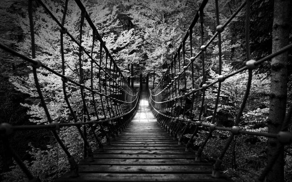 Striking Black and White Rustic Suspension Bridge Wallpaper