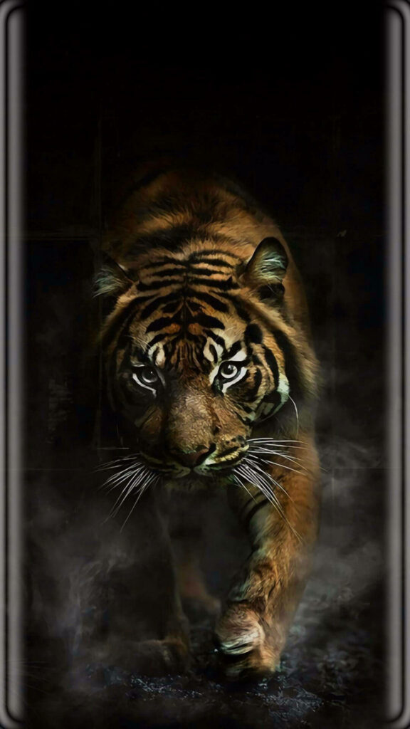 Striking Tiger Wallpaper: Black Stripes in a Dark Misty Background
