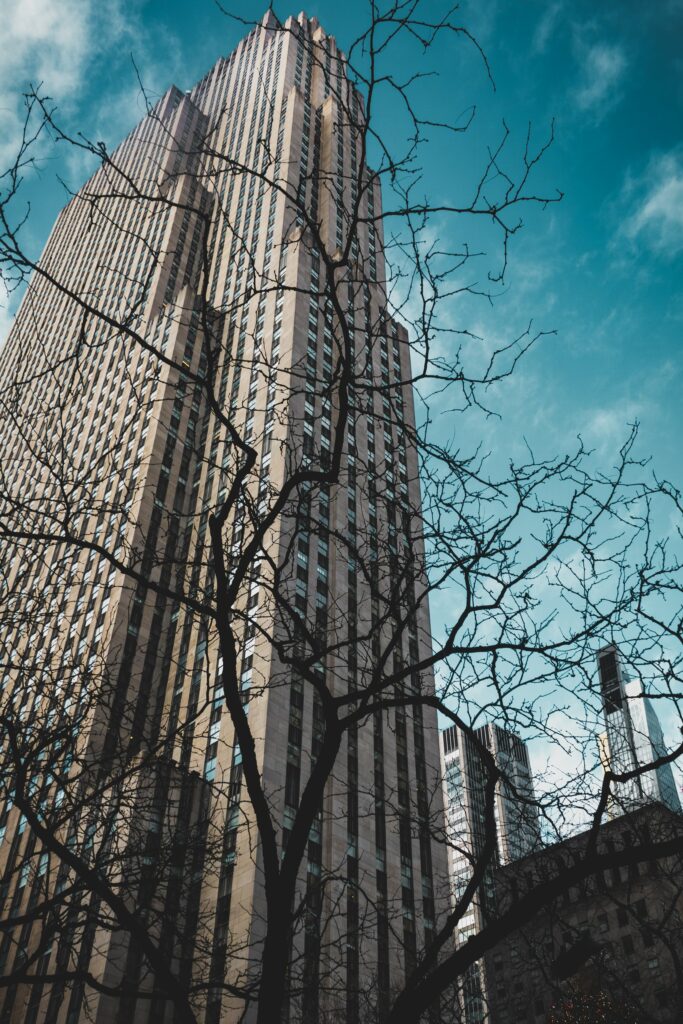 Stunning Urban Wallpaper: Towering Building & Tree Branches View