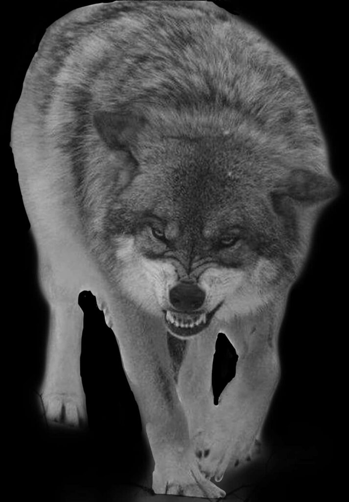 Stunning Double Exposure Wolf Wallpaper - Intense Dark Background
