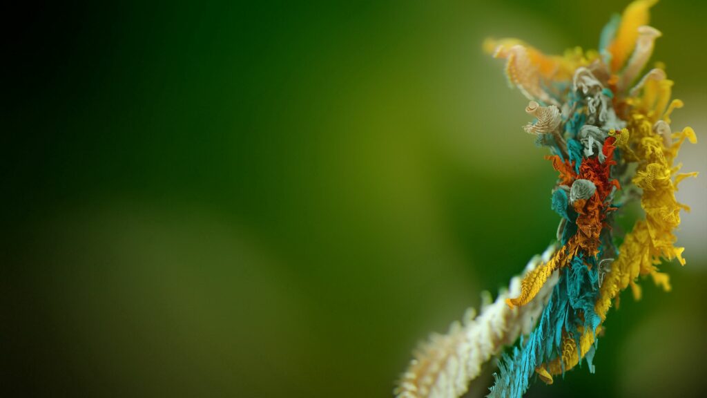Colorful Figure on Rich Green Blurred Background Wallpaper 1920x1080