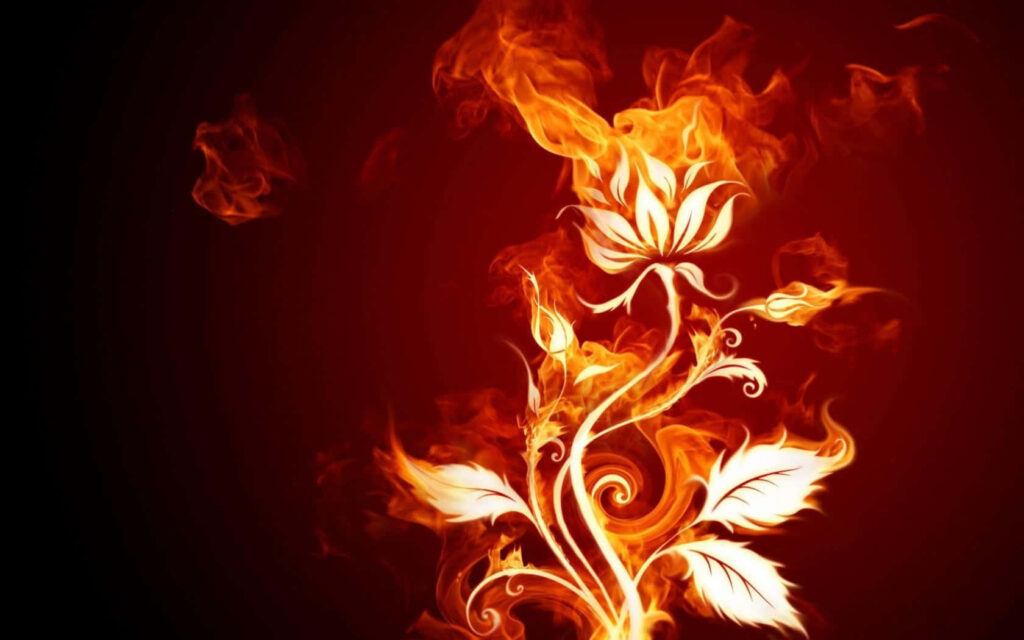 Stunning 3D Floral Fire Wallpaper on Dark Background