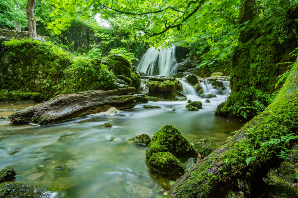 Serene 3D Waterfall Wallpaper: Lush Forest & Cascading Water