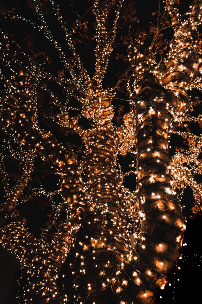 Festive 4094x6138 Tree Wallpaper with Glowing Lights for Holidays