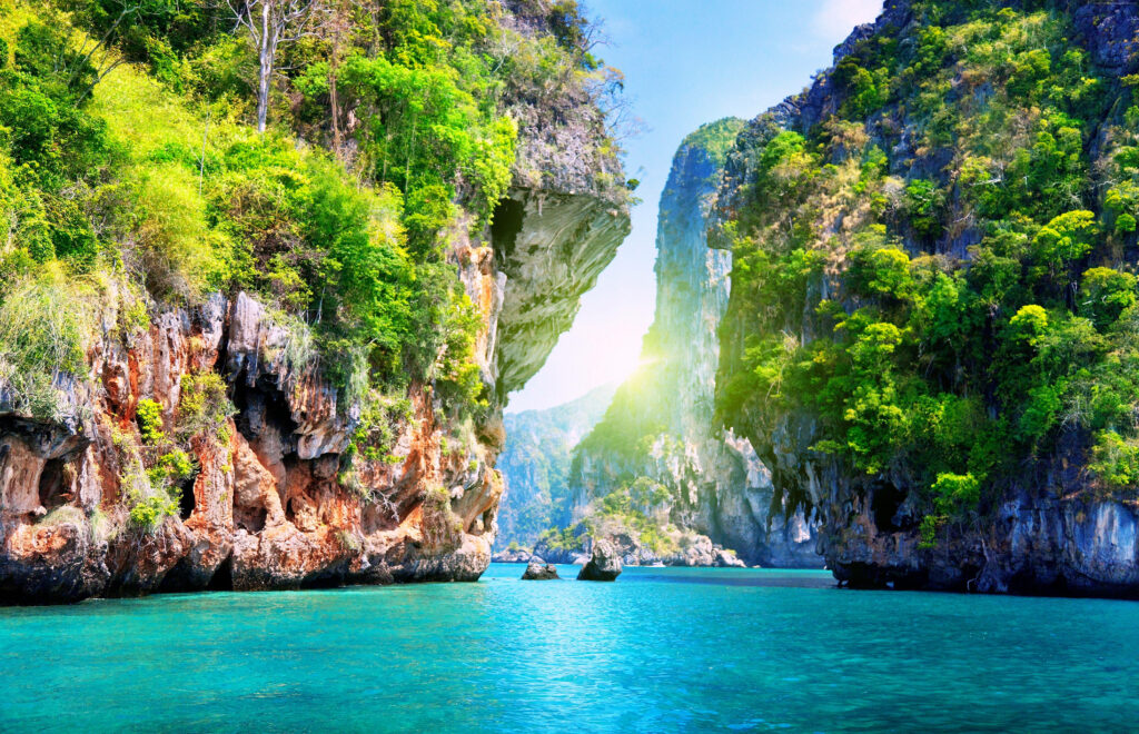 Stunning 4K Beach Rock Formations with Lush Greenery Background Wallpaper