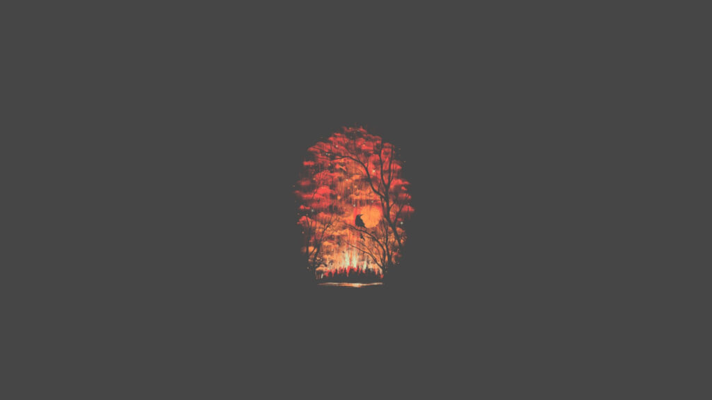 Stunning 4K Minimalist Wallpaper: Orange Tree in Dark Forest