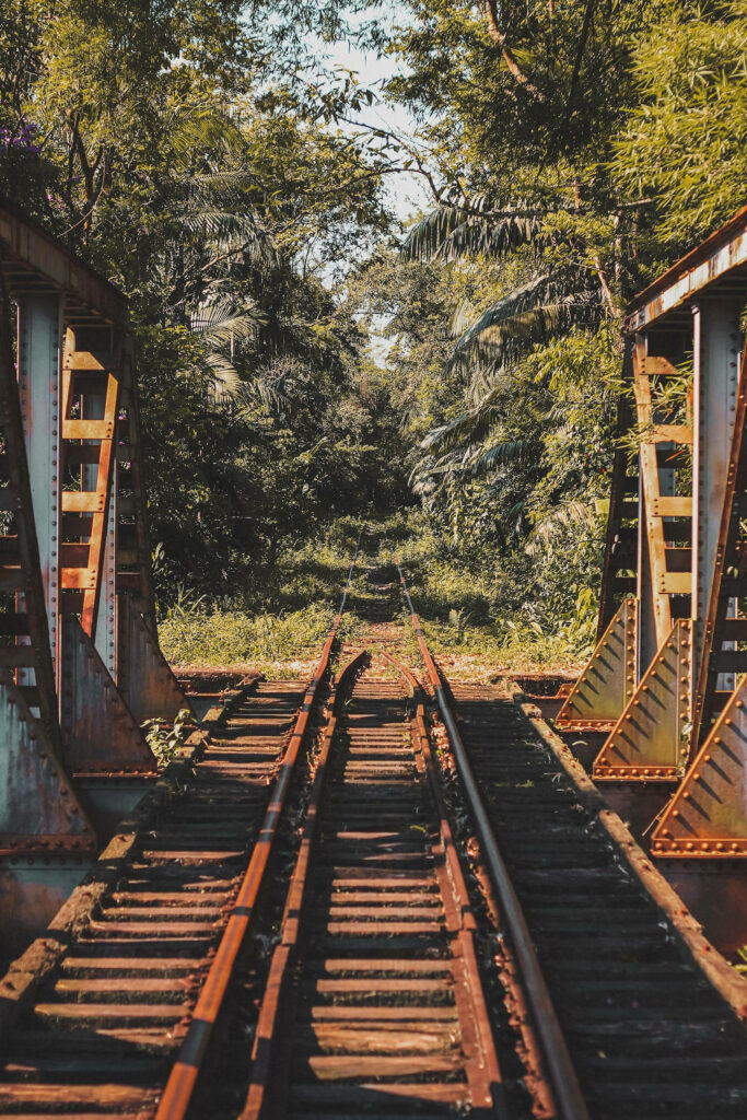 Rustic Train Tracks in Forest - Stunning 4K Wallpaper for Galaxy