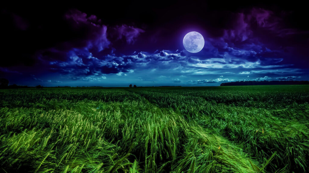 Serene 4K Wallpaper: Full Moon Over Grass Field & Blue Sky