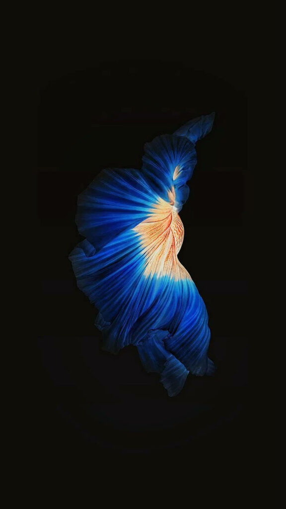 Stunning Abstract Wallpaper: Flowing Fabric & Betta Fish Design