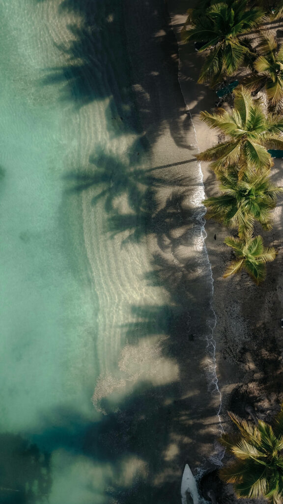 Stunning Aerial Beach Wallpaper: Turquoise Waters & Lush Palms
