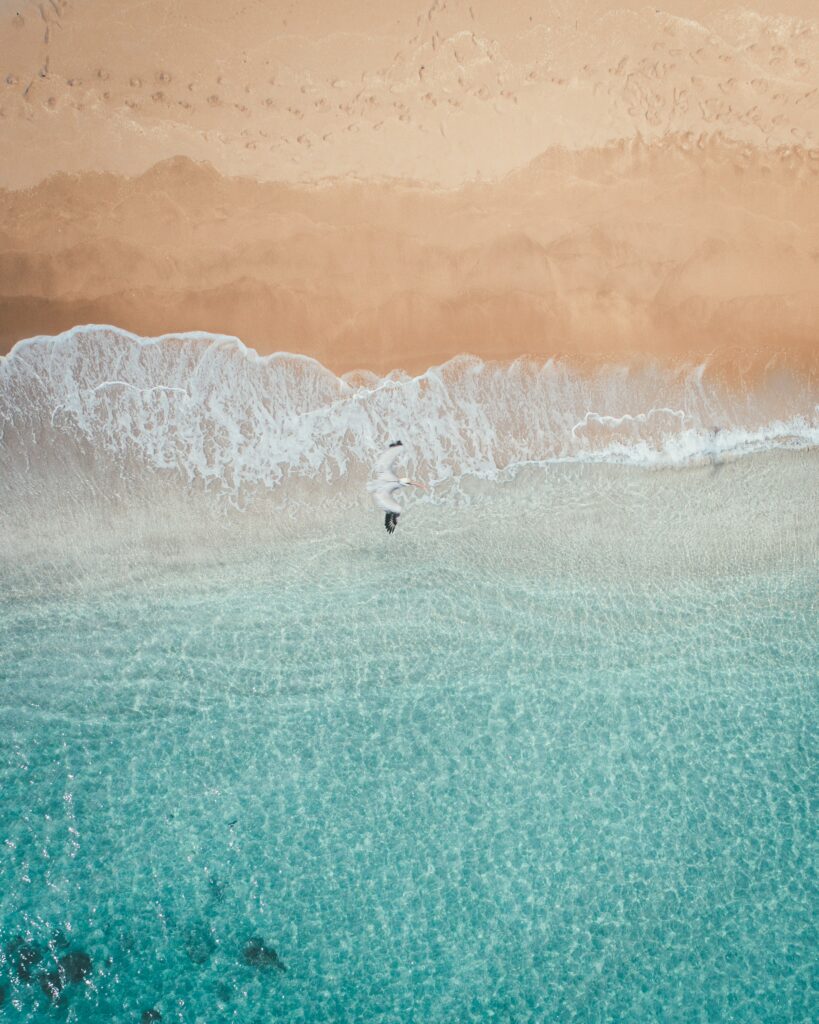 Tranquil Beach Aerial View: Bird Over Turquoise Waters & Sandy Shore Wallpaper