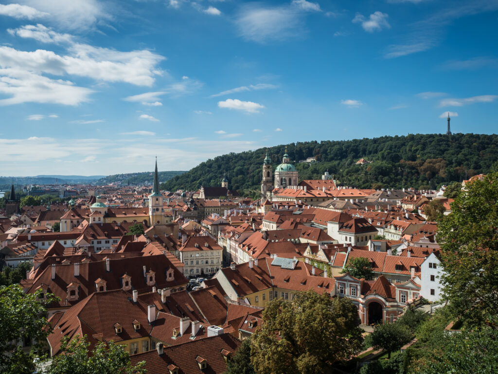 Stunning Aerial Wallpaper of Historic Cityscape with Lush Greenery
