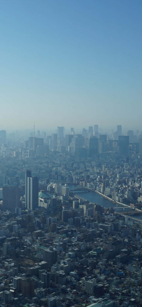 Stunning Aerial Cityscape Wallpaper in Soft Morning Light