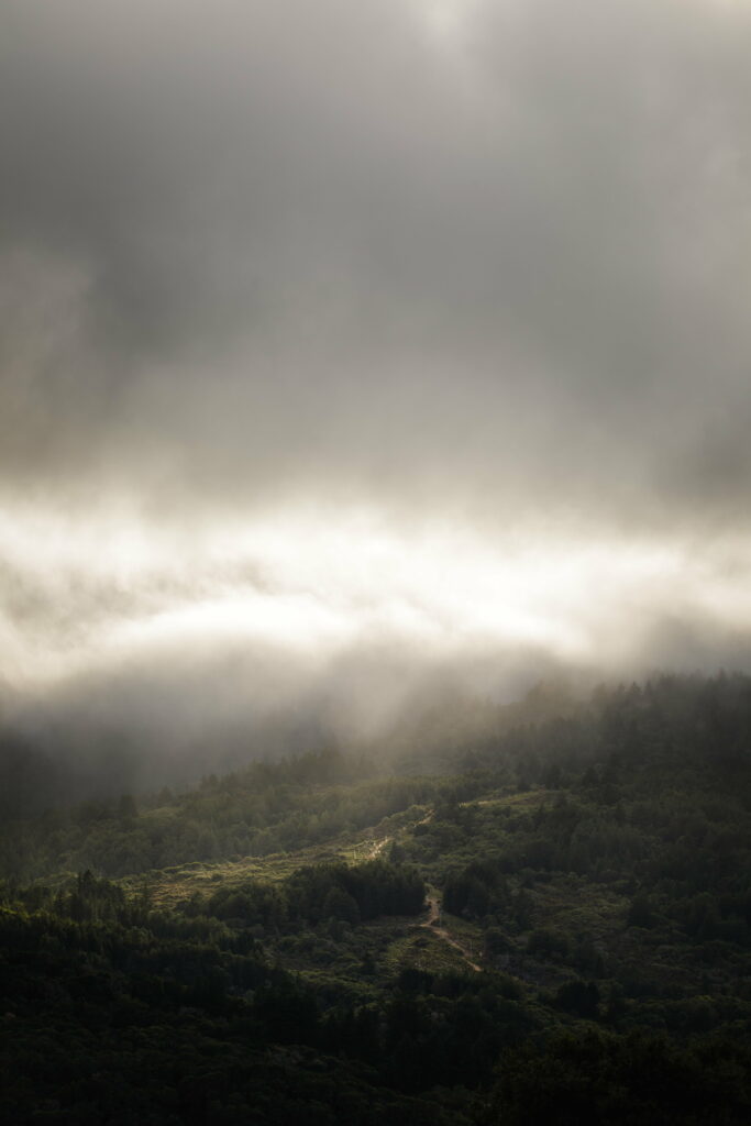 Stunning Aerial HD Wallpaper: Lush Green Landscape & Fog Background